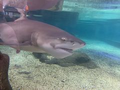 -鸿通城购物中心