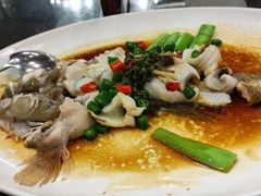 鲜花椒蒸桂花鲈-猪肉婆私房菜(容桂总店)