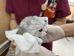 -美联众合动物医院·24h京西诊疗中心