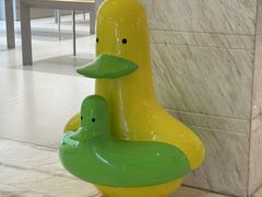 -远洋未来汇