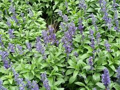 -东林广场(地铁站)