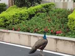 -西昌邛海宾馆
