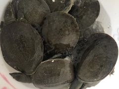 -广味炭炉鸡煲(宝业路分店)