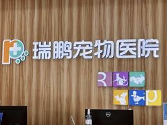 -瑞鹏宠物医院·微创内窥镜·骨外科·牙科(翠竹分院)