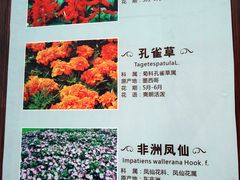 -保利石象湖景区