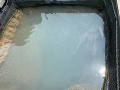 -海上驿站渔家菜馆