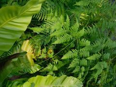 -国家植物园南园