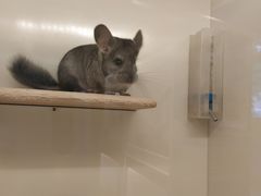 -龙猫仔乐园(惠福东路店)