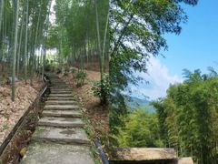 -宁波浙东大竹海景区