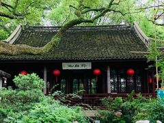 -上海醉白池公园
