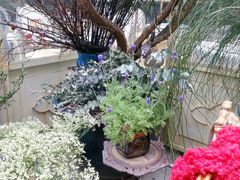 android_upload_pic-RGF(巨鹿路店)