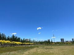 -甜心庄园·甜心草莓采摘园(西青中北店)