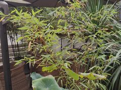 -往来·竹里.宝宝宴.生日宴.团建.宴席(花乡农居店)