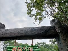 -武汉动物园