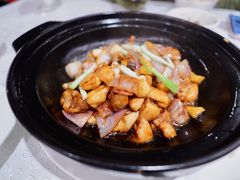 葱香鸡肉煲-三清山希尔顿度假酒店·三清轩中餐厅