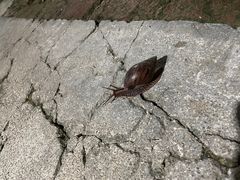 -万兴启丰椰子文化园餐厅