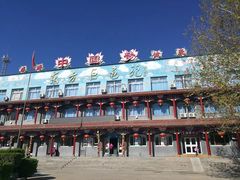 -东方巨龟苑景区