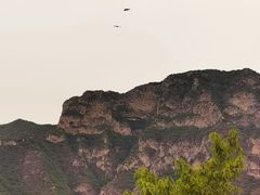 -圣莲山风景区