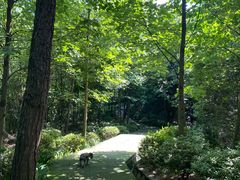 -铁山坪森林公园