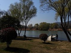 -长广溪湿地公园