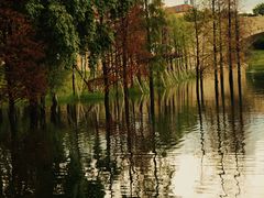 -松山湖风景区松湖烟雨