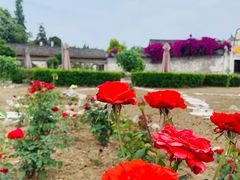 -金谷域澳洲庄园