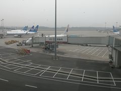 -郑州新郑国际机场