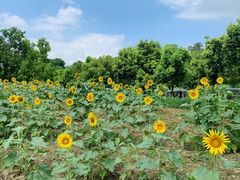 -杭州开元森泊度假乐园