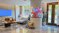 -新蝶变皮肤管理中心