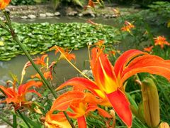 -苏州河梦清园环保主题公园