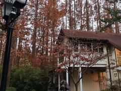 -上海虹桥迎宾馆