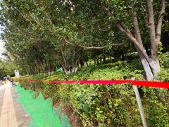 -海棠花溪(元大都城垣遗址公园)