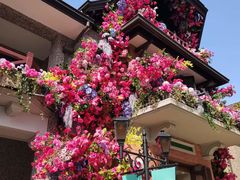 -思南公馆商业街