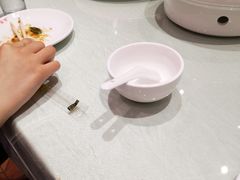 尖椒干豆腐-嘎吧锅私家菜馆(联想科技城店)