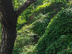 -青岛海滨风景区小鱼山