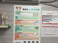 -芭比堂动物医院·心脏科·老年急重症·夜诊·吉雅分院