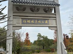 -大亚湾红树林城市湿地公园