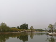 -东郊湿地公园