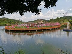 -田园寨农园观光园