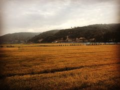 -南泥湾风景区