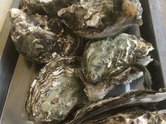 -渔民船说·北塘海鲜·天津菜·海肠捞饭(北塘古镇店)