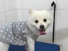 艾咪宠物店-艾咪宠物店(长宁支路店)