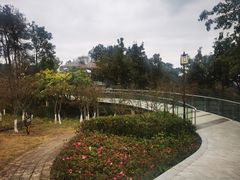 -铁山坪森林公园