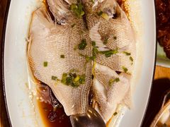 -新白鹿餐厅(百联中环店)