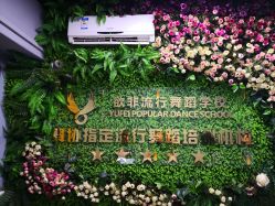点击看大图 -欲非舞蹈