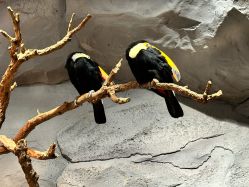 -Zoolung Zoolung动物主题公园(海信广场店)