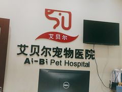 -艾贝尔宠物医院 ·内科全科(梁溪路店)