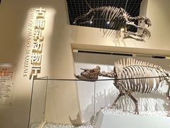 -国家自然博物馆