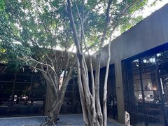 -来回·咖啡(钟村咖啡豆店)