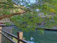 -湖洞水自然风景区